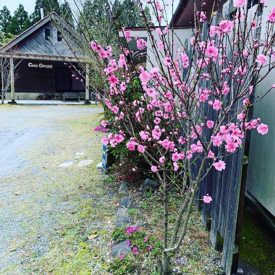 Guesthouse Coco Garage Kirishima Exteriör bild